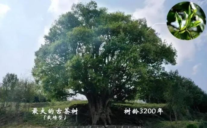 Ї(gu)пϵĲ(sh)5u1068f(wn)r(ji)