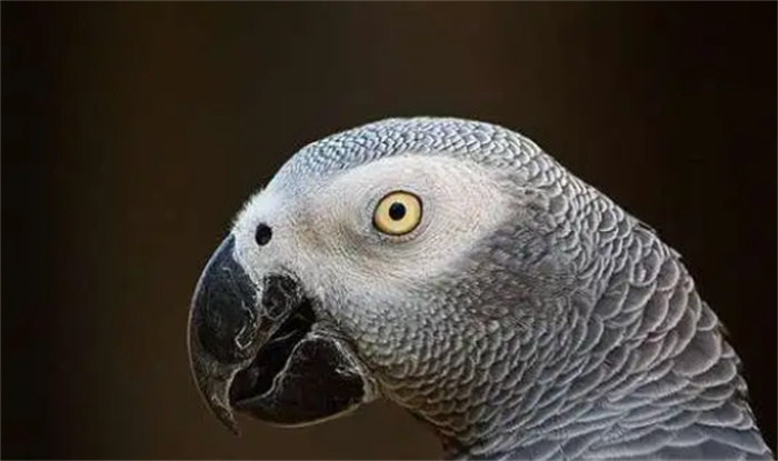 ȫĄlW^v˹