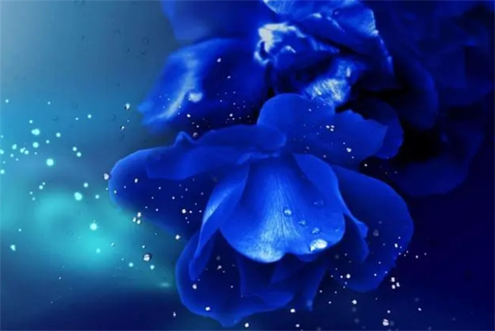 @Фһ\(yn)飬ؔFS