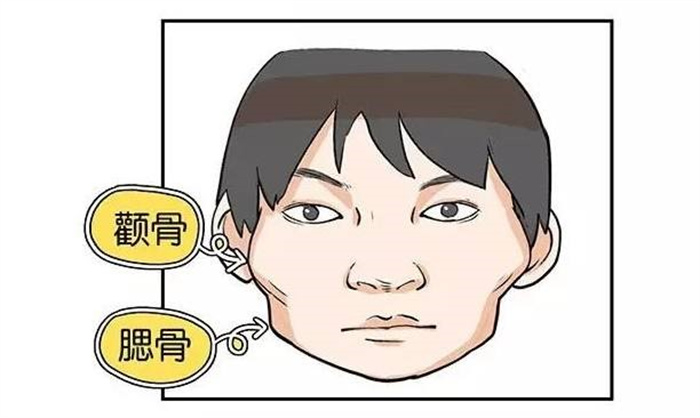 這種面相的人性格強(qiáng)勢  但事業(yè)運(yùn)好  你有嗎