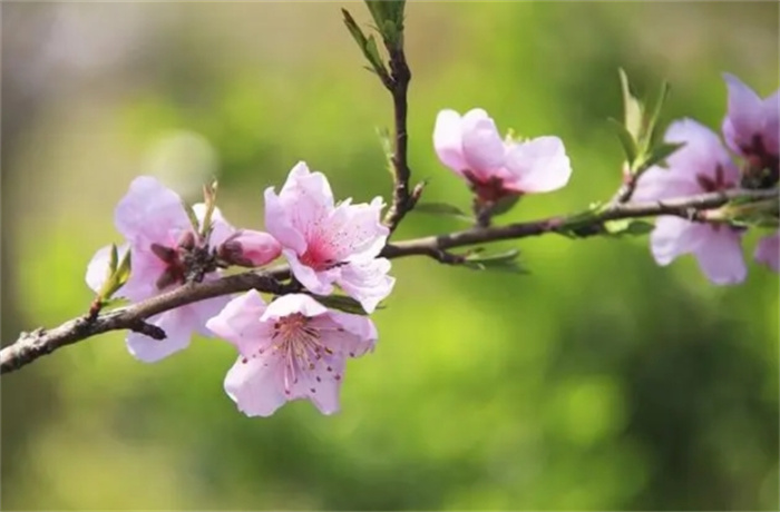 סe١3ФһФRϰ