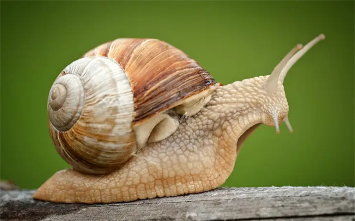 XĄ fwX΁ţX