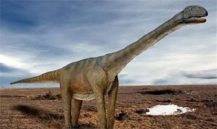 ʷǰޫFF(xin)֪6NͿ