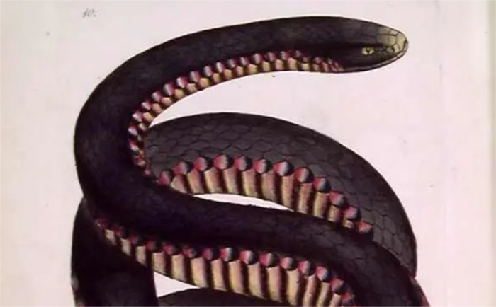 ׌ӑ  δ^  ҧһڕ׌˲֪