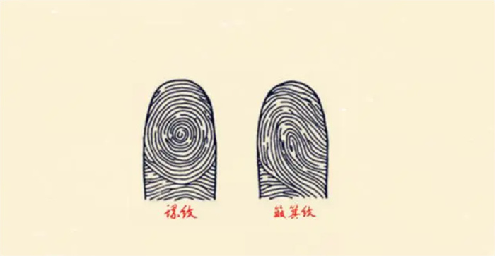 ʮ(g)ؔ(ci)ԽeԽࡱ  Ўׂ(g)ݵF
