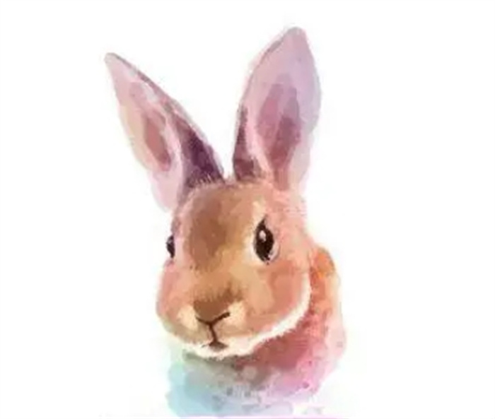 ͬ·݌˵\(yn)ʲôͬ