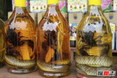蛇泡酒兩年后咬死人？蛇泡酒怎樣才能保證安全
