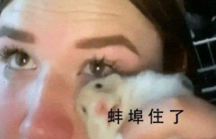 סʲôԴN(W(wng)j(lu)C)