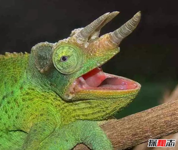 Щɫ^rG?ɫrG10
