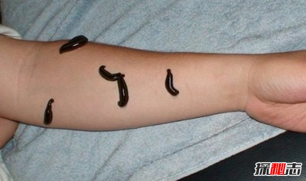 Щ?ĵʮݷ(ֱҕ)