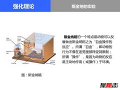 斯金納箱的恐怖之處 斯金納箱說明了什么（人性）