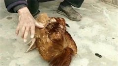 uǰ残ֱʲôԭ uʲôֱ