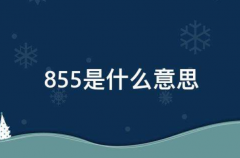 855ʲô˼p(ڄӷҎ(gu))