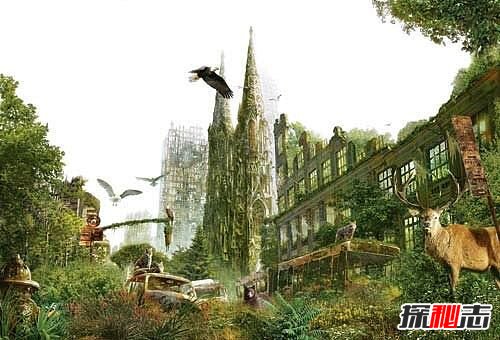 人類(lèi)滅絕后地球的圖片,地球或?qū)⒆兊迷絹?lái)越美