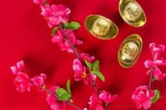 白蠟金女孩的家庭運(yùn)勢(shì)如何?與父母關(guān)系好，自身健康運(yùn)佳