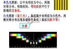 雙縫干涉實驗是騙局嗎 雙縫干涉實驗的結(jié)果是什么