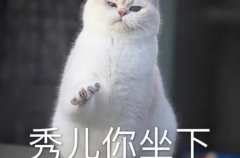 ヺʲô:Qٝ{(dio)٩˼(W(wng)j(lu)Пṣ)