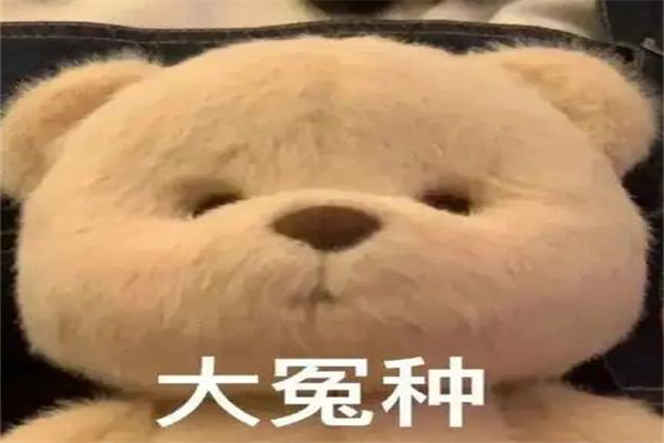 ԩNʲô˼?ǂ(g)ԩ^((jng)ЩЦ)