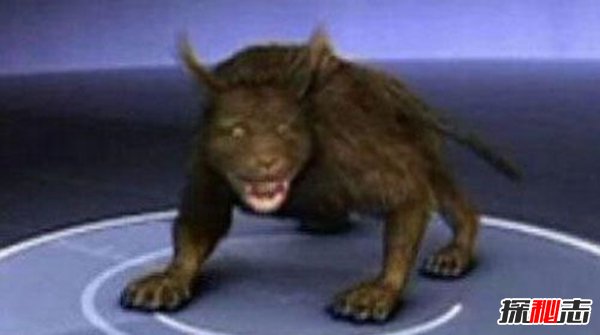 ʮֲ֫F֮i,~[؈l(f)˲g(oȃ)
