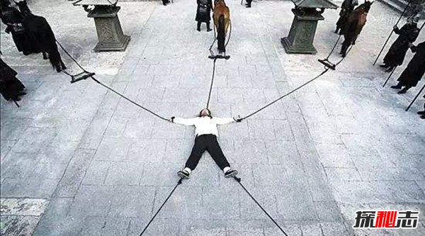 عŴʮ,O׌˻Ľg(ʹ)