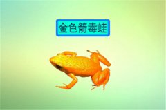 ɫܣɫһNܣԘO(qing)ǿֲ