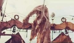 1977ձOˮ֮iһf~