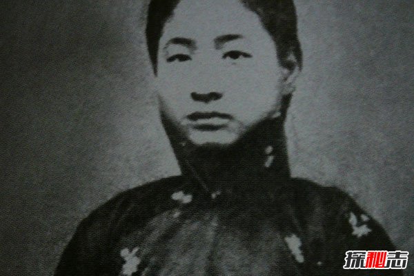 小鳳仙圖片