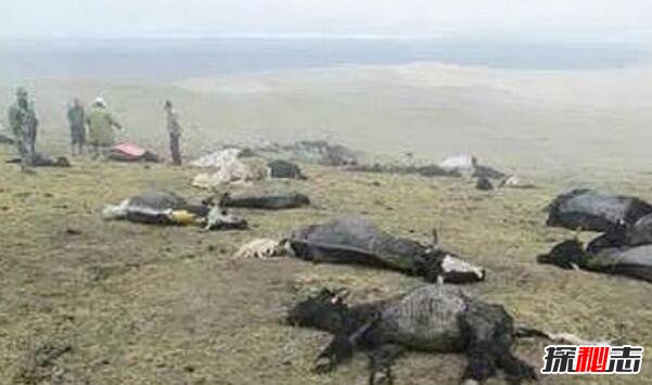 昆侖山死亡谷地獄之門事件,昆侖山死亡谷之謎視頻