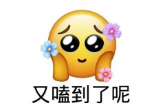 kswlʲô˼?F(xin)Ȧ(cpù/)