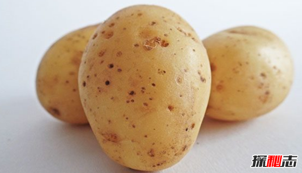 世界上最危險(xiǎn)的12種食物,第四、第八差不多每天都在吃