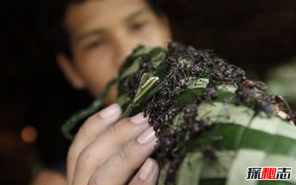 成年禮太可怕了!世界十大變態(tài)成人禮,看完你一定不想快快長大