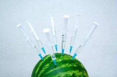 打針西瓜是什么?真的存在被打針的西瓜嗎