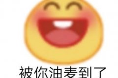?zhn)ʲôĬ?΢@Թ0)