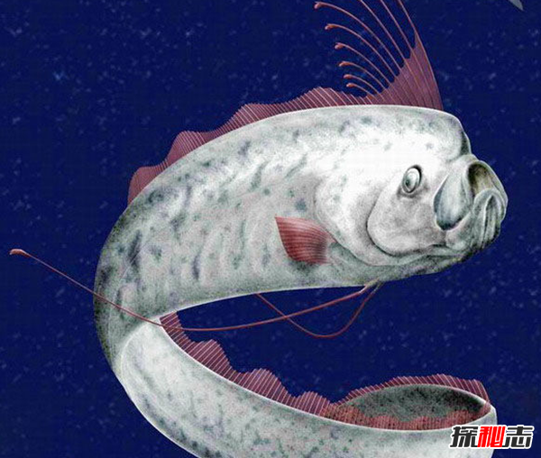 L(zhng)~ʲô~?(jng)`J(rn)麣߻